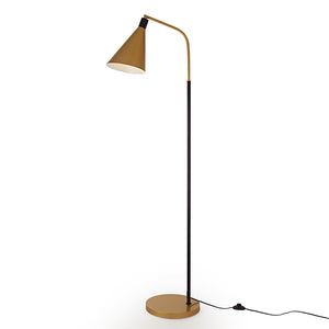 Gold & Black Floor Lamp